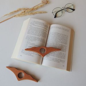 bague de lecture 2